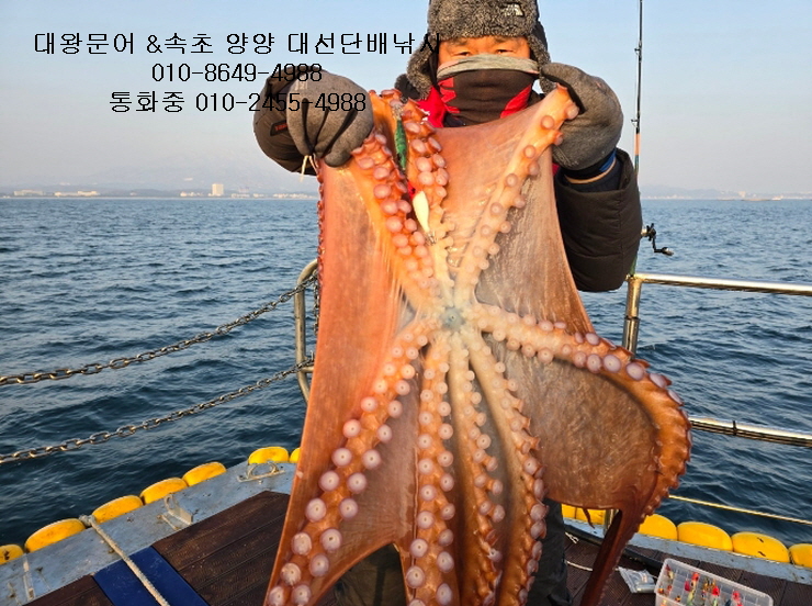 피싱1번지 이미지
