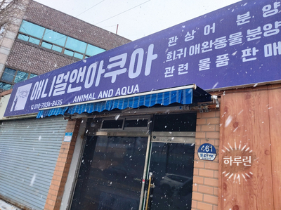 애니멀앤아쿠아 이미지