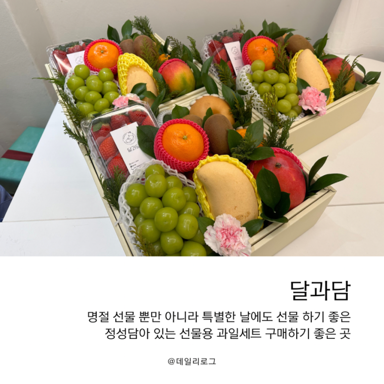달과담 이미지