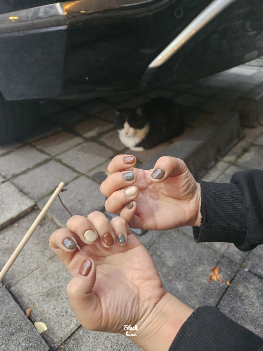 살롱드하유 이미지