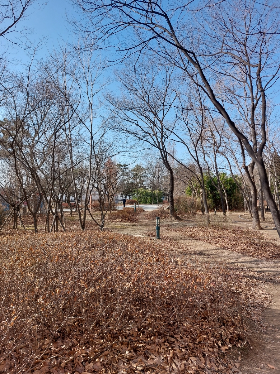 이동수푸드 이미지
