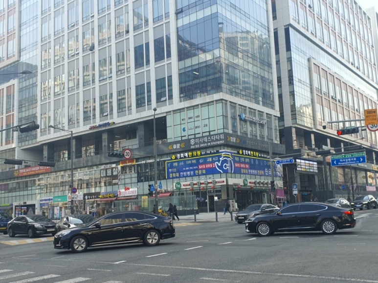드림디포미사테스타 이미지