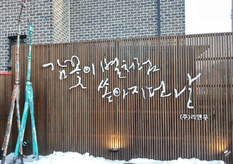 감꽃별아이들 이미지