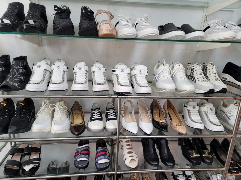 엘레시스 이미지
