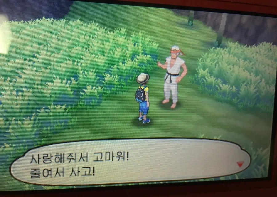 재뉴어리 이미지