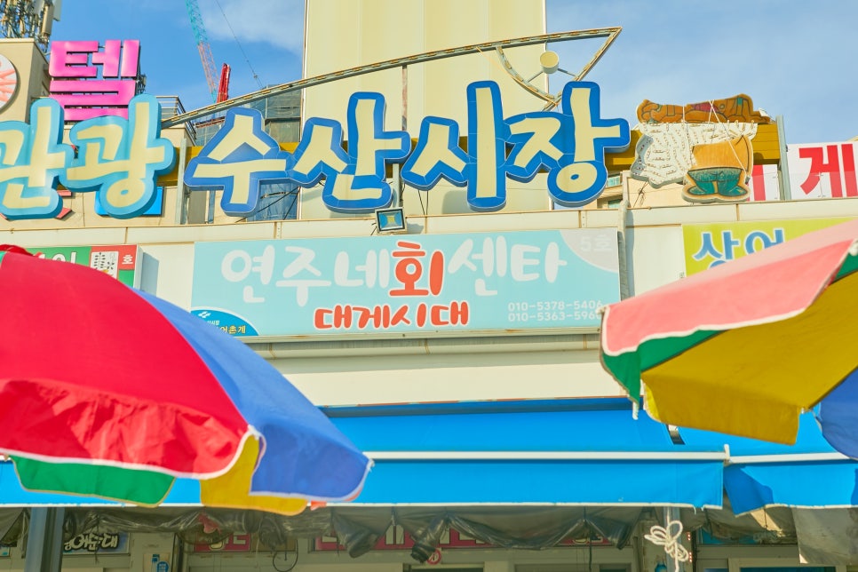 연주네 이미지