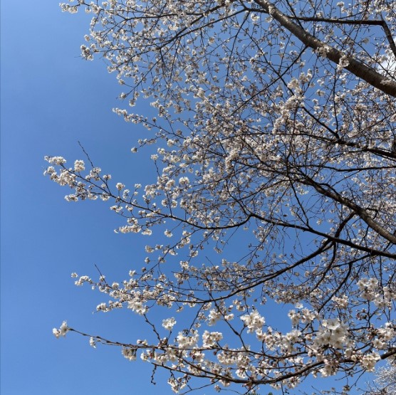 주식회사씨에스 이미지