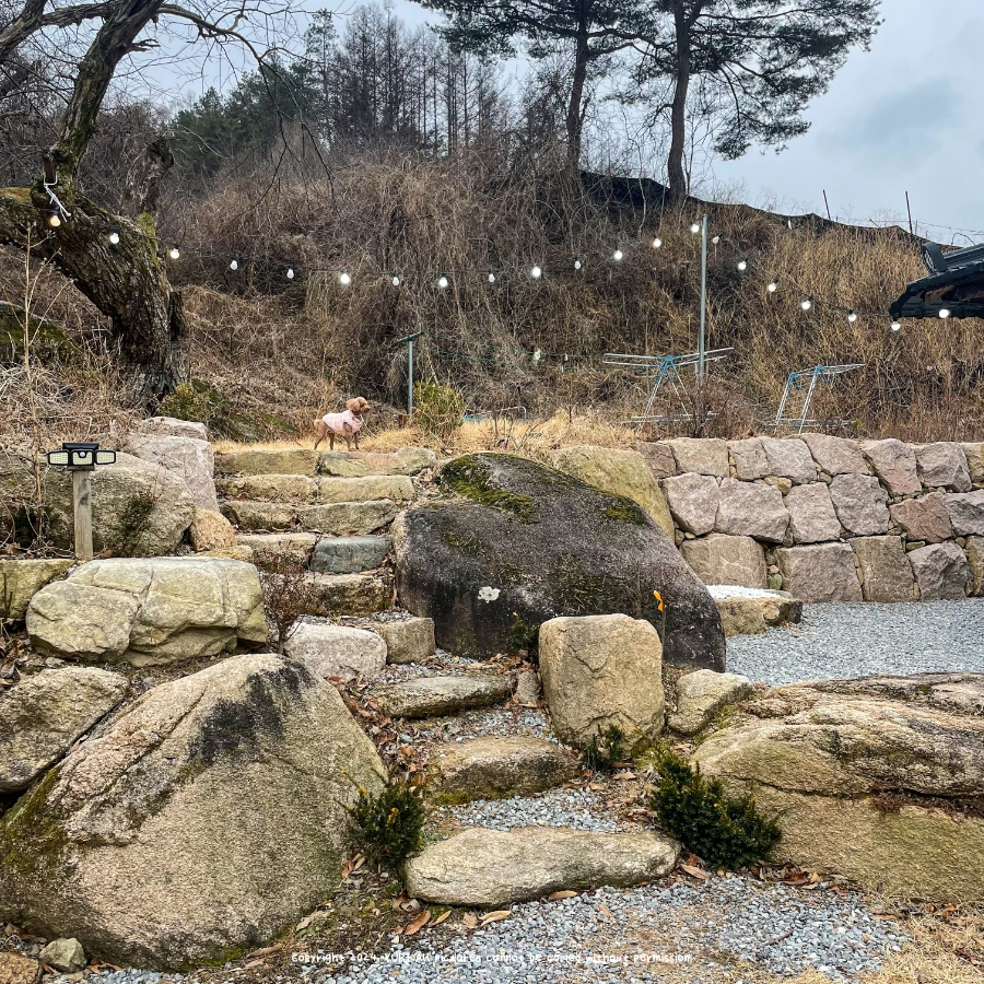 우복동편백펜션 이미지