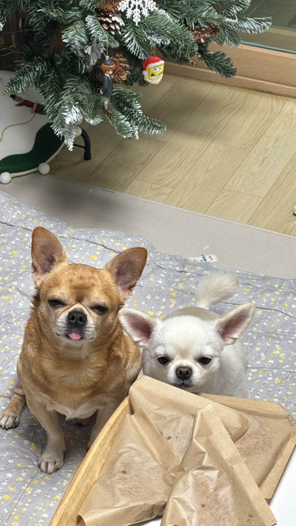 이츠루카 이미지