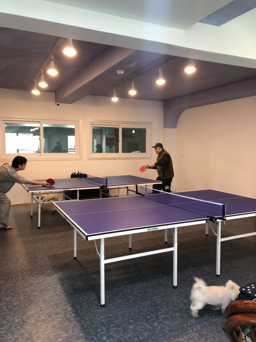 장보고당구장 이미지