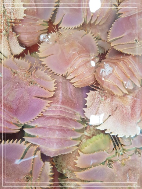 청주수산 이미지