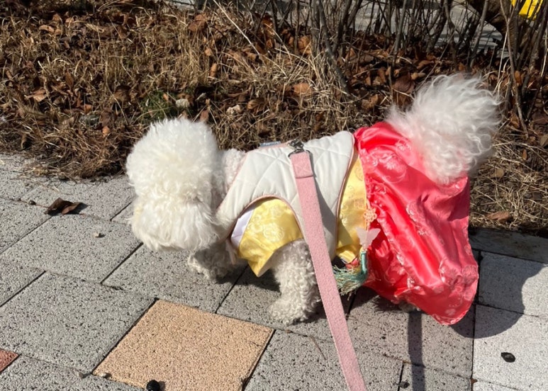 멍브레드 이미지