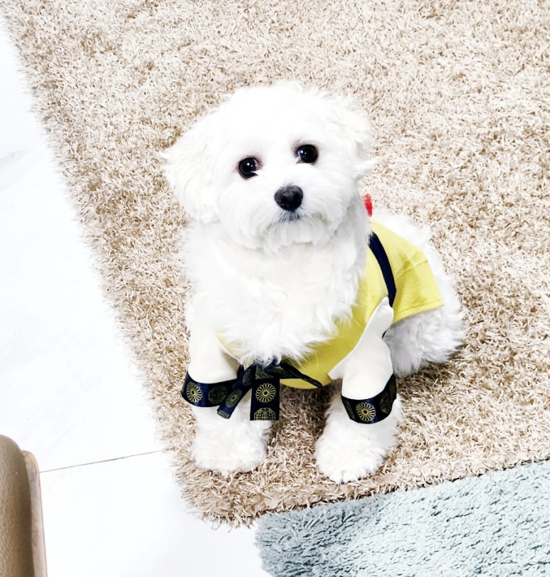 장초닭발 이미지