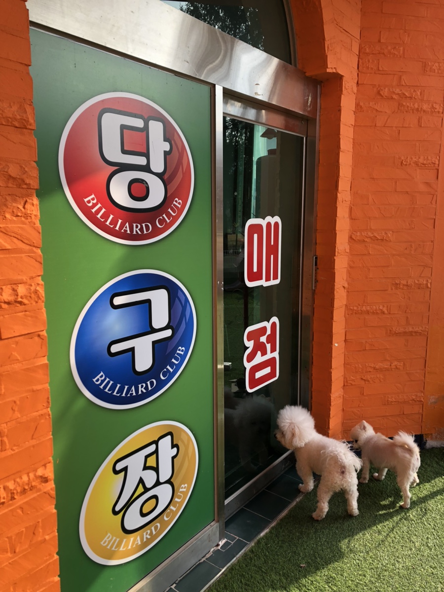 장보고당구장 이미지