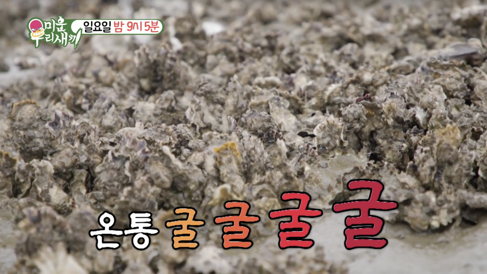 간월도노을펜션 이미지