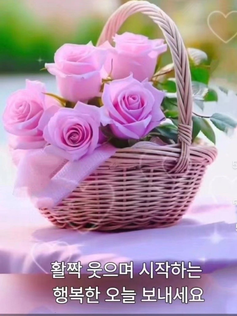 행복법무사 이미지