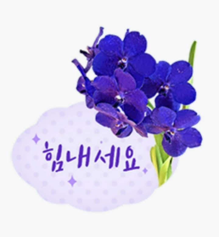 늘찬 이미지