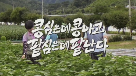 형제갈비식당 이미지