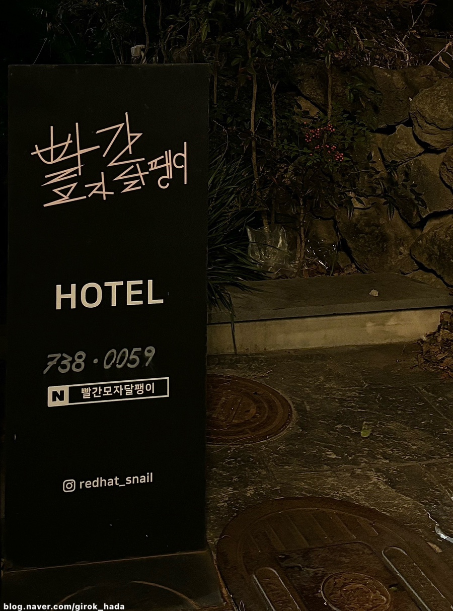빨간모자달팽이 이미지