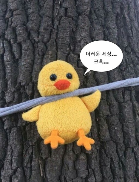 헬로 이미지