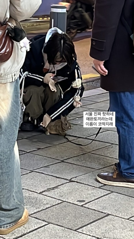 ㅏㅏㅓ 이미지