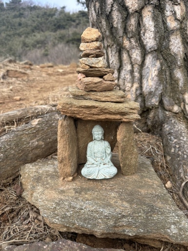 충무칼국수보쌈 이미지