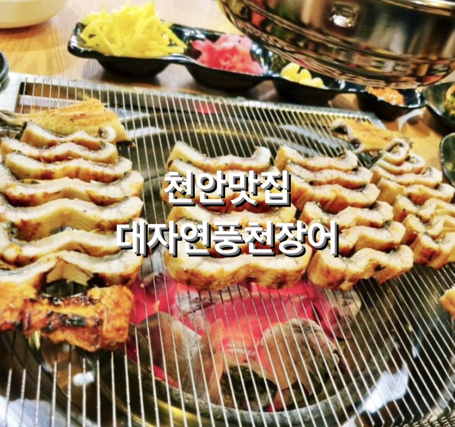 대자연풍천장어 이미지