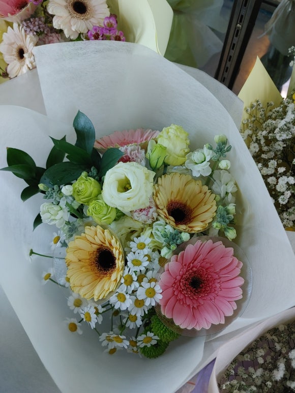 민주수경재배꽃집 이미지
