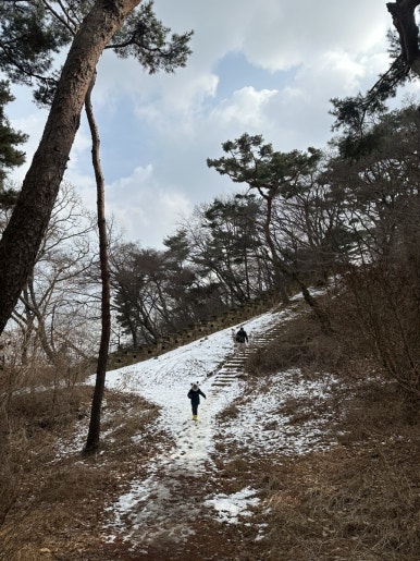 충무칼국수보쌈 이미지