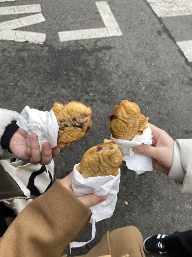 그래비즈 이미지