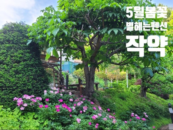 작약꽃펜션 이미지