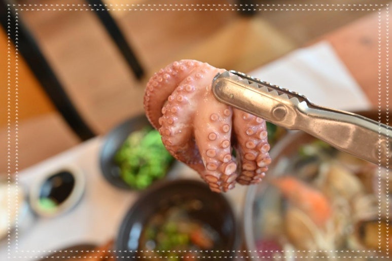 예이제 이미지