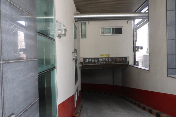 재이피우 이미지
