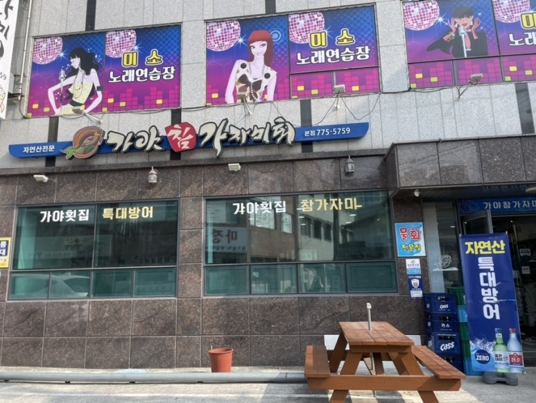 가야참가자미회 이미지