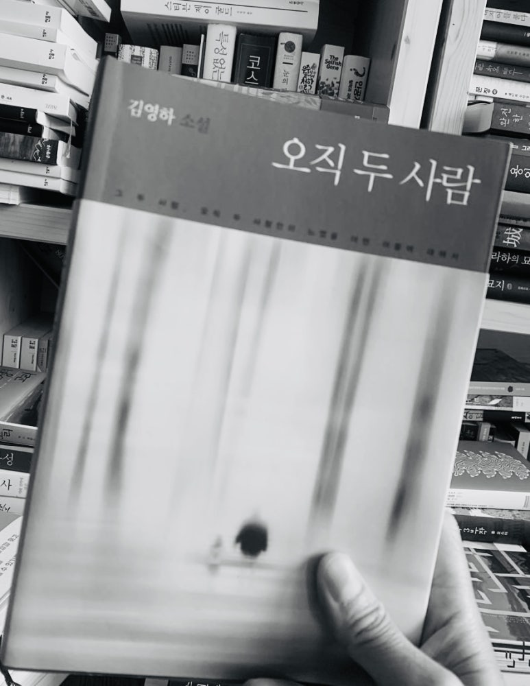 안나안다 이미지