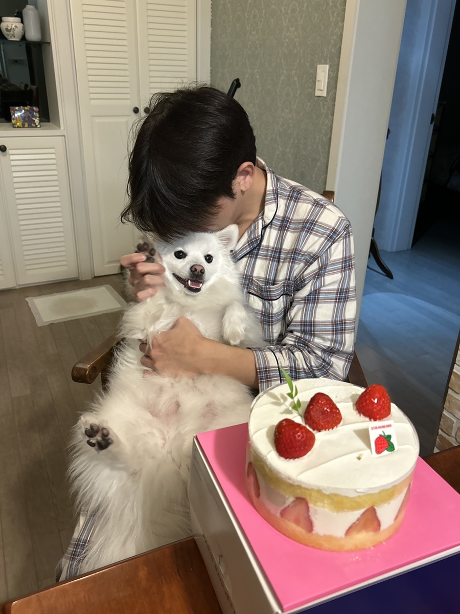 킹스시 이미지