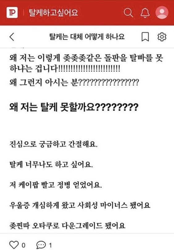 다희김밥 이미지