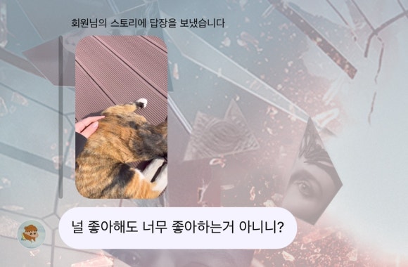 채윤 살롱 이미지