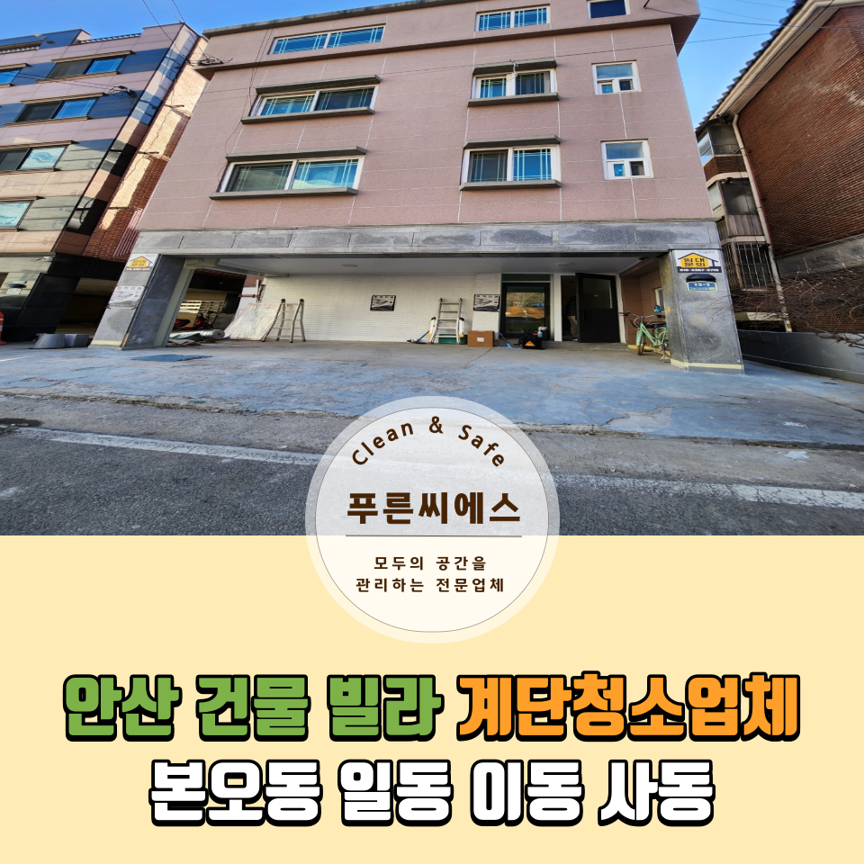 푸른씨에스 이미지