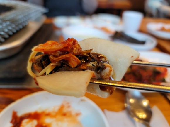 힘센민물장어 이미지