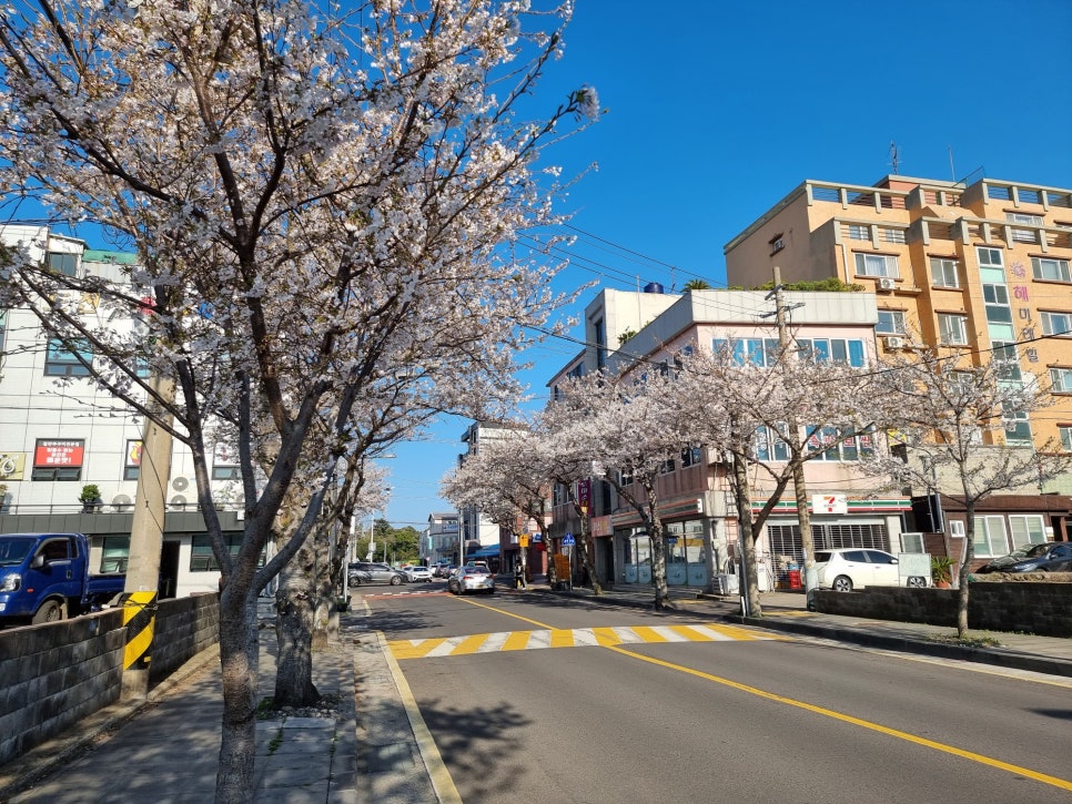 제주동마트 이미지