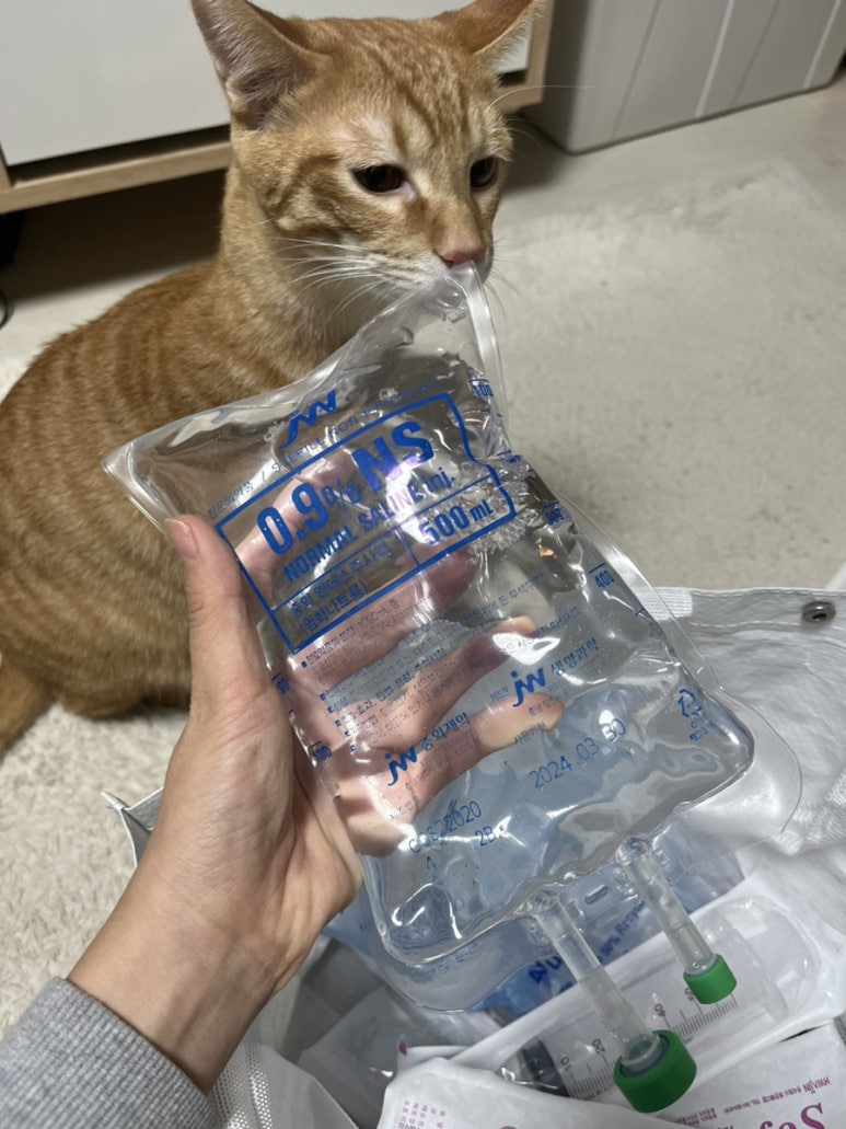 금별마켓 이미지