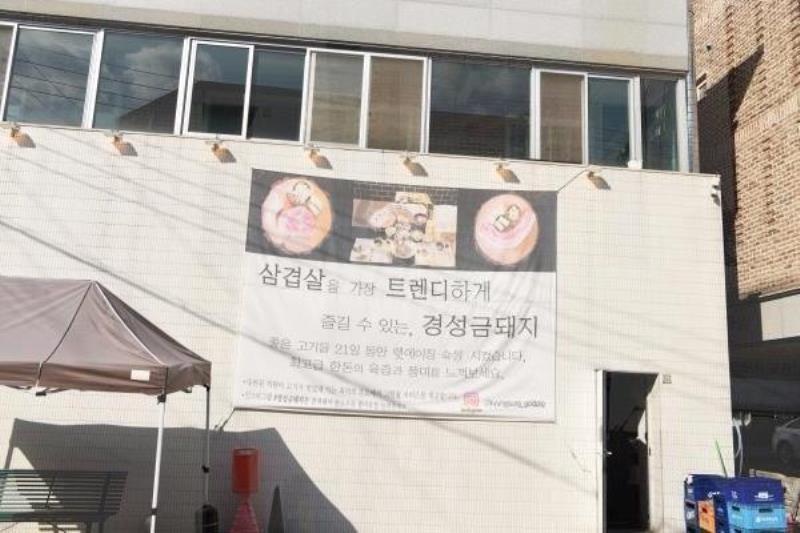 금돼지 이미지