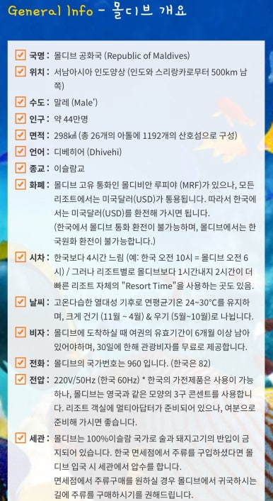 내맘대로여행사 이미지