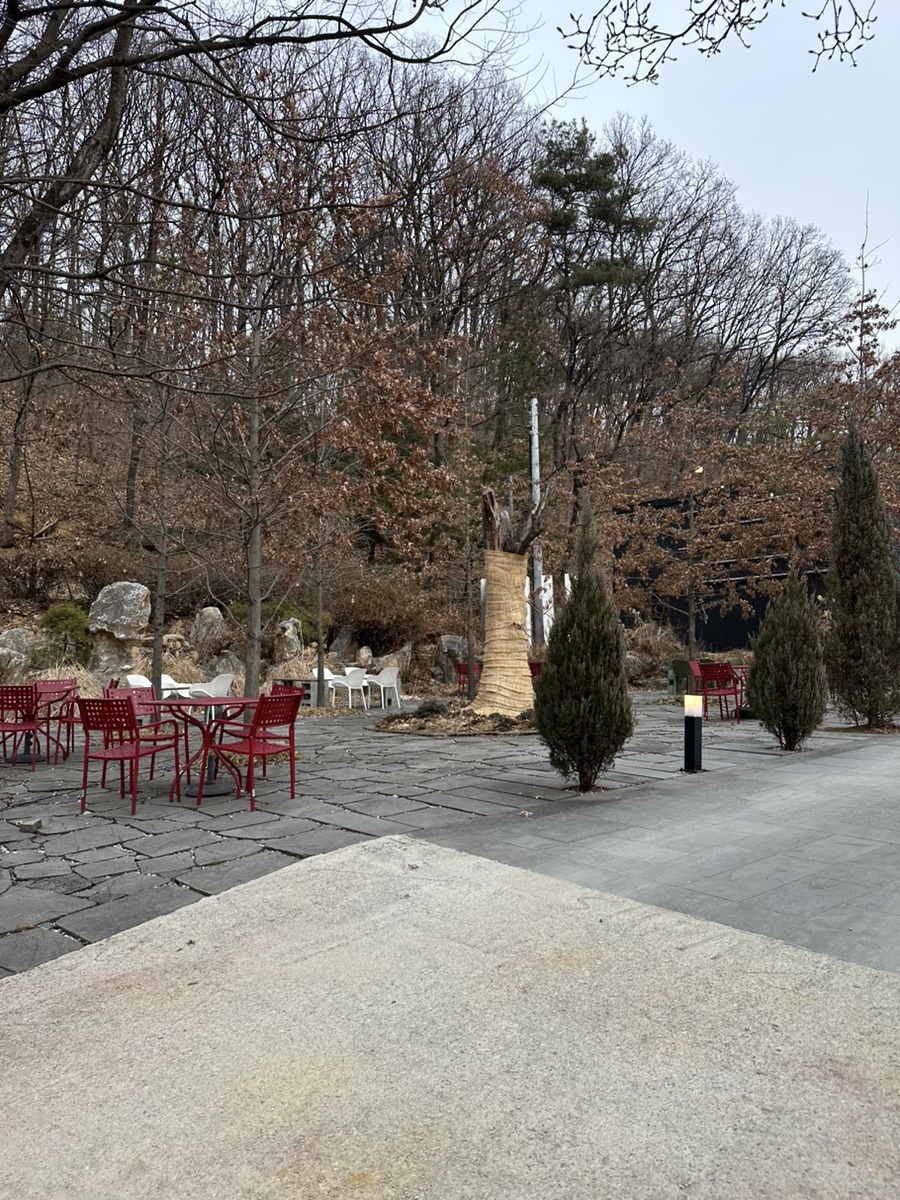 카페;수피아 이미지