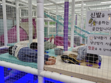 우리끼리키즈카페보물섬마을 이미지