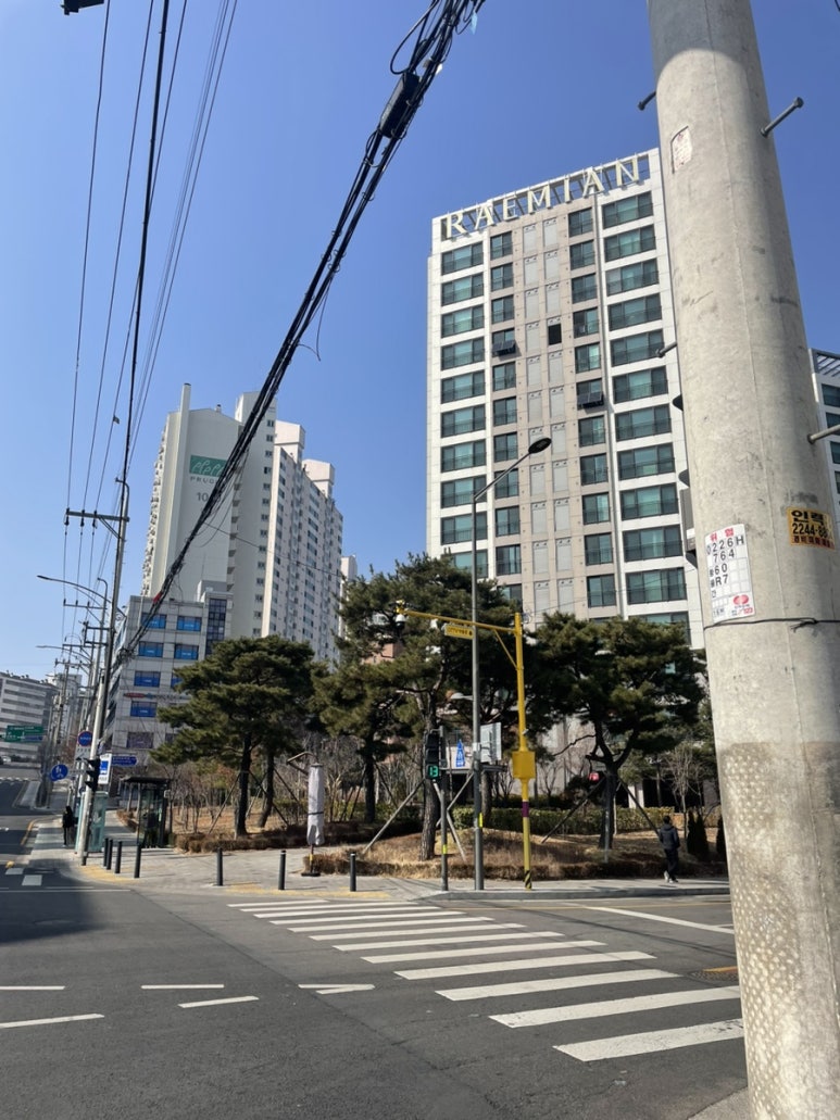 세기할인마트 이미지