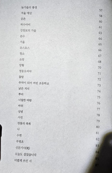 지식나무 이미지