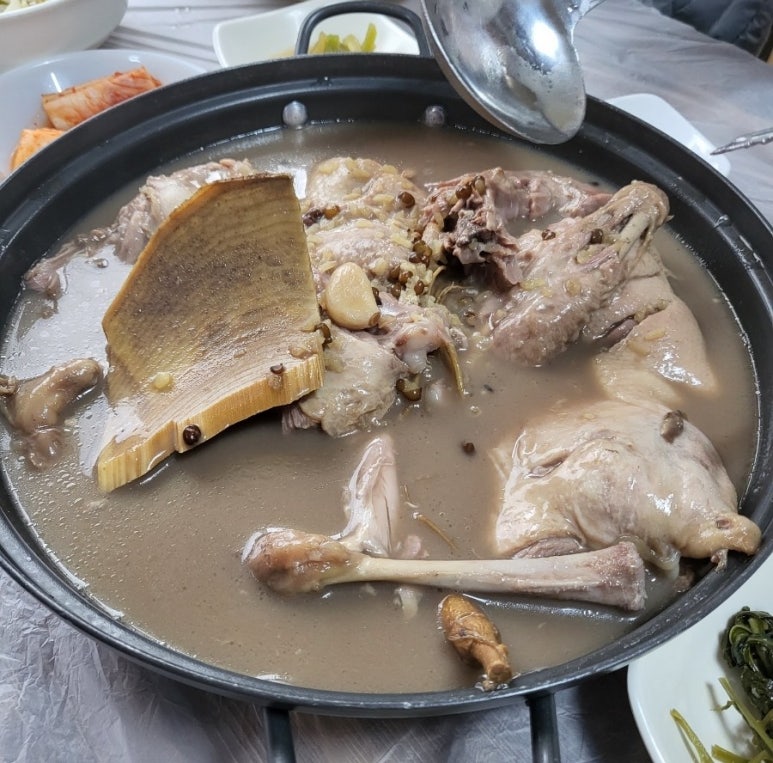 달기랑오리랑 이미지
