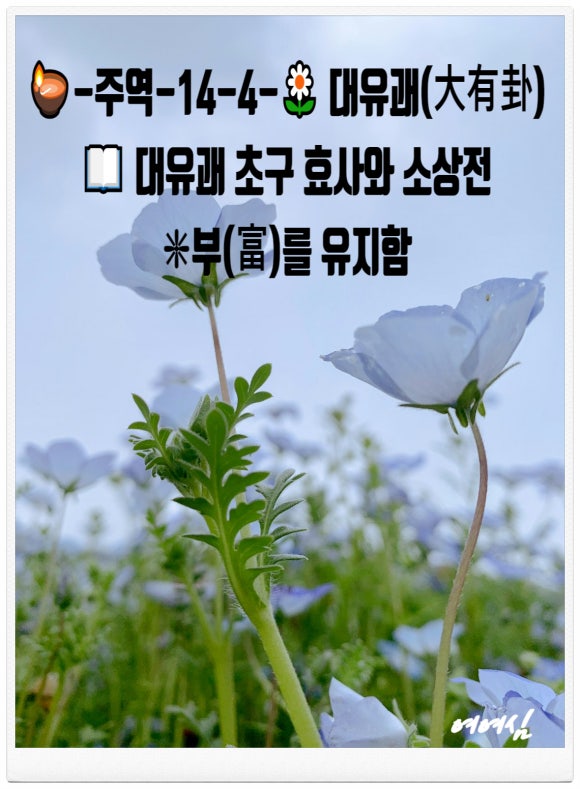 부효사 이미지